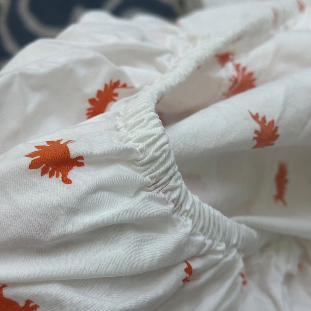 Pottery Barn Kids Organic Dino Sheet set, full